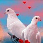 I want open friend ship.