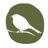 korimako_org's profile image