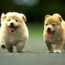 muthu18291's profile picture. B.E(CSE),CCET..