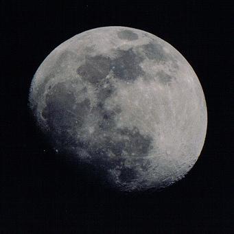 proband02's profile picture. 