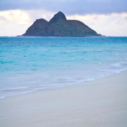 blogmsnews's profile picture. 