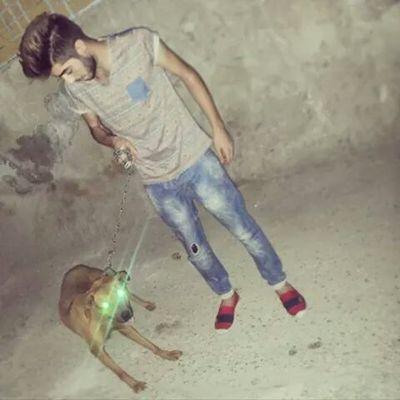 DajaaMarwan's profile picture. 