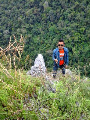 NpMulya's profile picture. 