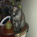 Paul Cutting - @bullet_nw - Twitter