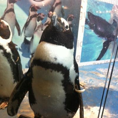 yoo63527998's profile picture. 