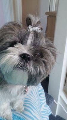 GeSuzy's profile picture. La la la..