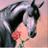haybt_mlka511's profile image