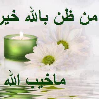 HemaAmr1122's profile picture. 