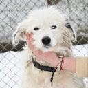 Mandy Easter - @MandyJoyEaster - Twitter