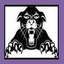 PHSBoysTennis's profile picture. Supporting the PHS Men's Tennis Team! Follow us for the latest team updates and information -- GO PANTHERS!