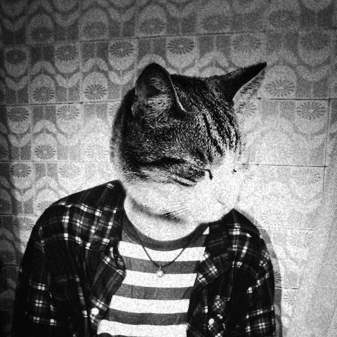 kotvasya777's profile picture. 