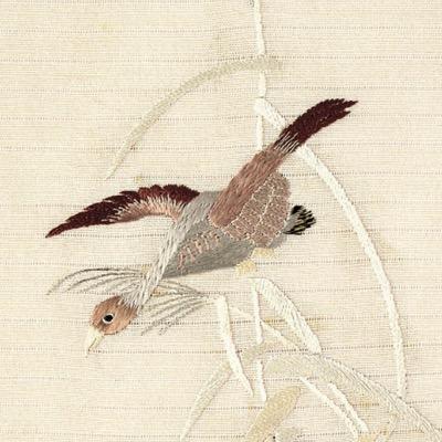 「未来」 所属。歌集『滴る木』(ながらみ書房、2004年) 。