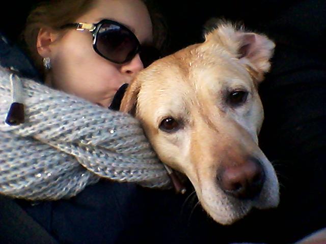 Labmom ◇ Desperate Housewife ◇ Enjoy the little things in life ◇ Blogt ◇ Columns Labrador Aukster&Me