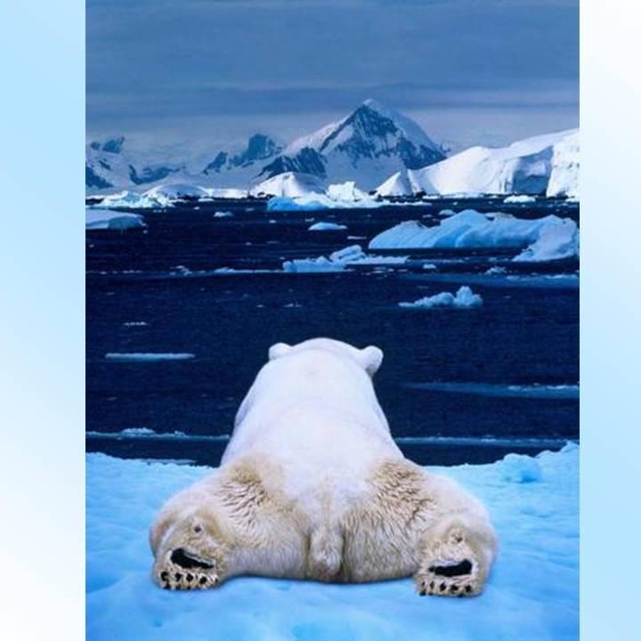 LoriDebby's profile picture. 