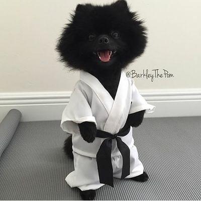 derescio's profile picture. Always stay humble..