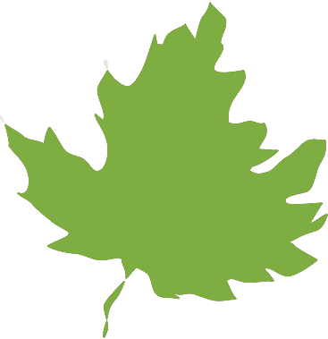 marketvermont's profile picture. Vermont Artisan Products.