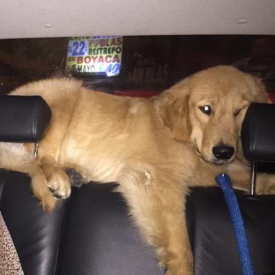 VelaJhonnathan's profile image