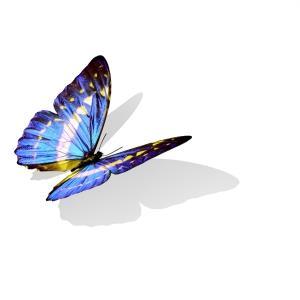 Sheri Dawson (@sheri_dawson) | Twitter