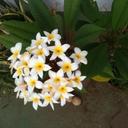 Verónica Alemán - @Veronicaleman - Twitter