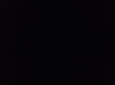 19 트윗 잠시 잠수중
