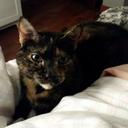 Julia Ibañez - @yhuly_87 - Twitter