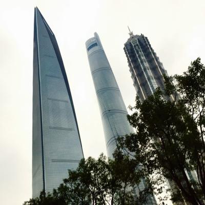 nongholala's profile picture. 