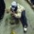 naoto0630's profile image