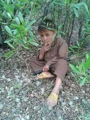 alkassmy00's profile picture. 