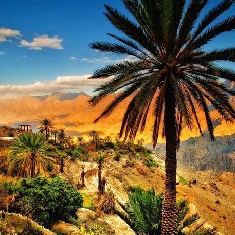 s8harthy's profile picture. 