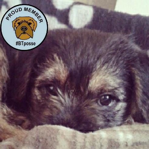 baztheborder's profile picture. Confused. Very, very confused.