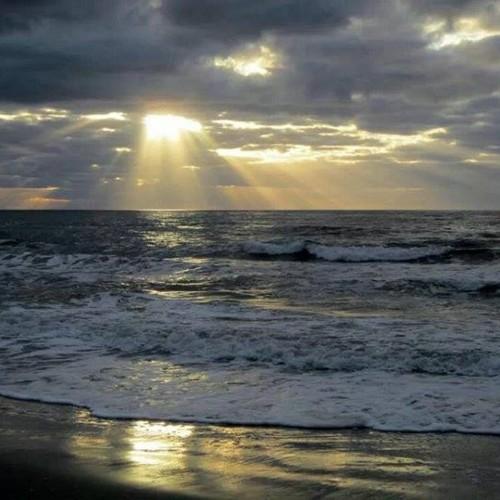 Christie49Scott's profile picture. Do unto to others as you would have them do unto you!