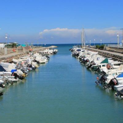 ArnelaNebojsa's profile picture. 