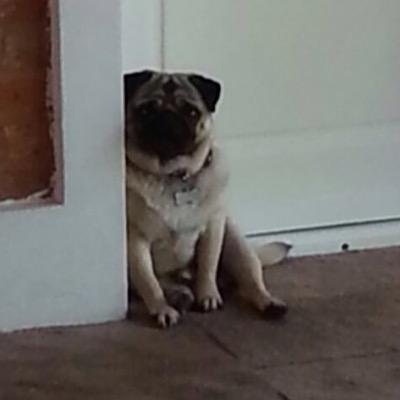 FUT15playerr's profile picture. 