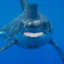 Jonathan Leiman - @SushiPizza83 - Twitter