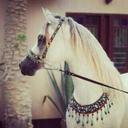 رودياان (@13beaf91e399435) Twitter