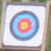 Vaaliliitto's profile picture. Vaaliliitto tekee pieniä huomioita, isoistakin asioista. / Vaaliliitto is one tiny observer for finnish speaking world. Mukana #saatmitäettilaa tarkkailijoissa.