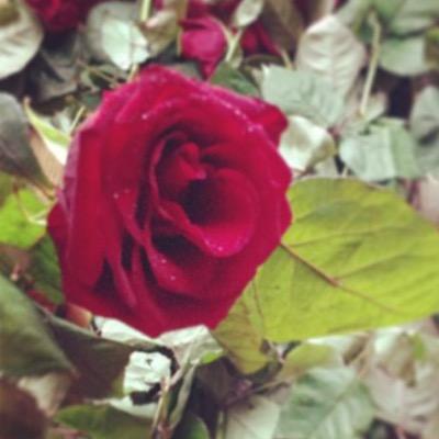 3anonaa's profile picture. 