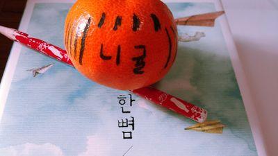 song2_mushrum's profile picture. 먹는얘기가 반^!^