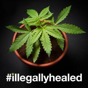 #IllegallyHealed - Two words that don't belong together. Please like us on Facebook: http://t.co/cTQ2CzyAs4
