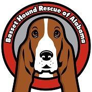 BHRA, a 501(c)(3), is an all-volunteer basset hound rescue dedicated to rescuing and finding homes for homeless or needy basset hounds throughout Alabama.