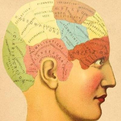 Adventures for Mind, Body, & the Creative Spirit! Now at Montgomery College 2016!