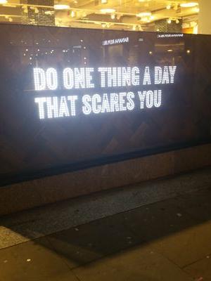 chefluvas's profile picture. food. drink. lots of action.