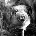 Hope McMaster - @LordFlies123 - Twitter