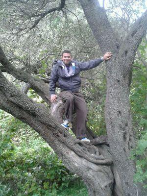 C_Xerach's profile picture. Diseñador