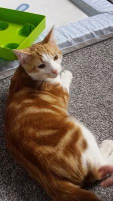 1993helen1993's profile picture. 