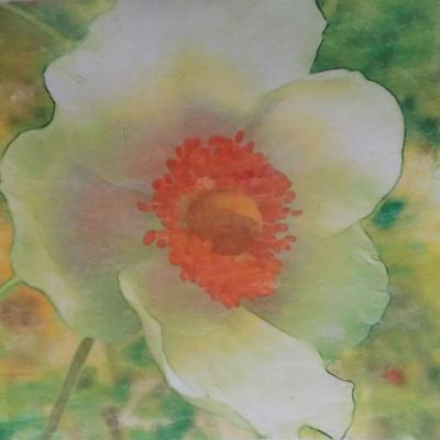 Mary Ellen Sanger On Twitter Cosmos Double Click Cranberry