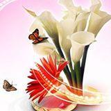 موقع اجتماعي
