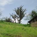 Marcel Orozco - @marcelorozco857 - Twitter