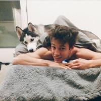 Some Fan (@unitedwithcam) Twitter profile photo