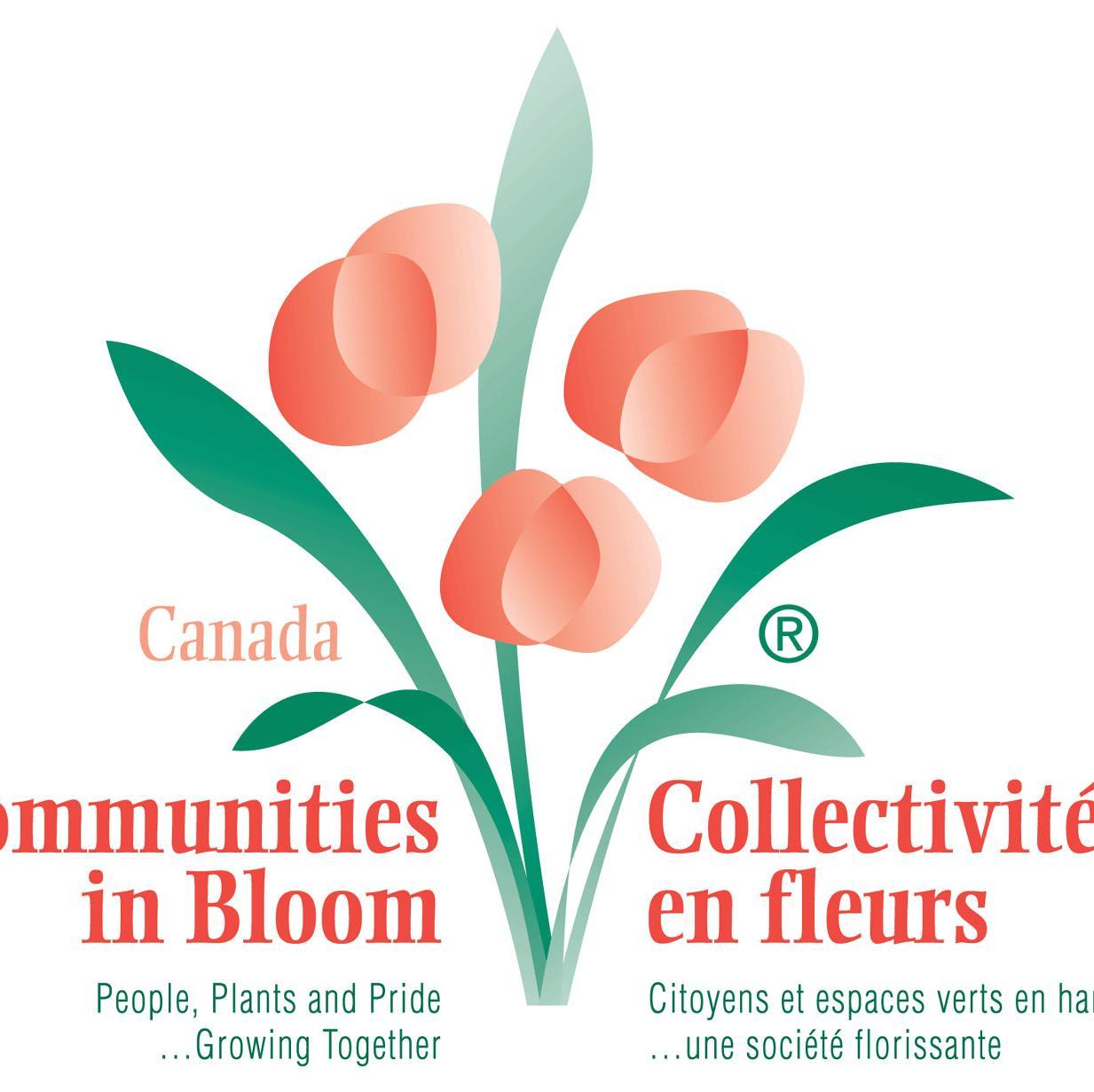 To promote the principles of the national CIB program encouraging community pride and participation in the ongoing development of a healthy Fort Erie.